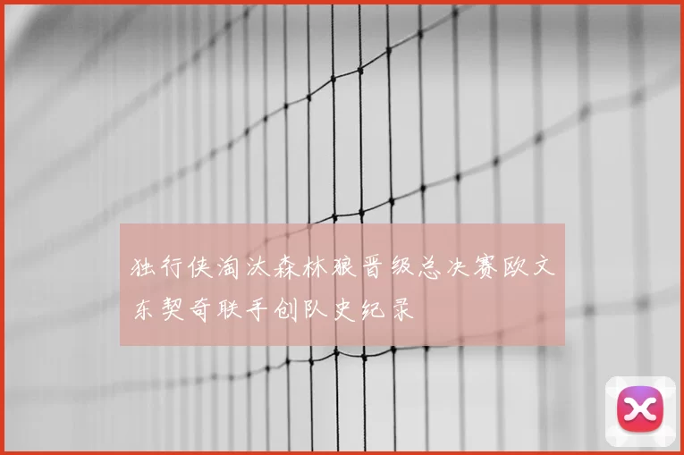 独行侠淘汰森林狼晋级总决赛欧文东契奇联手创队史纪录
