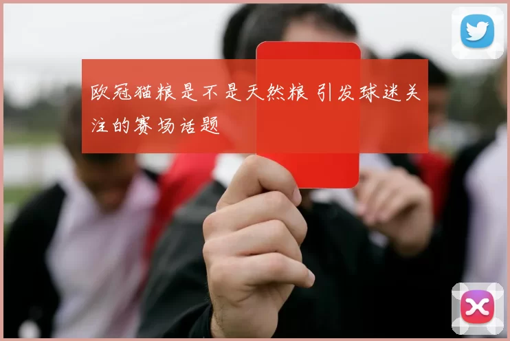 欧冠猫粮是不是天然粮 引发球迷关注的赛场话题