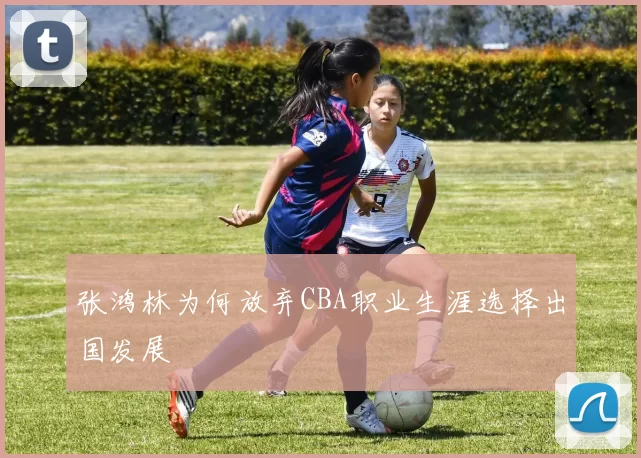 张鸿林为何放弃CBA职业生涯选择出国发展