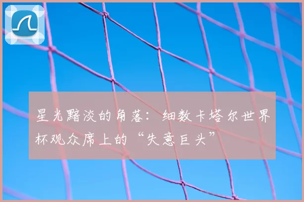 星光黯淡的角落：细数卡塔尔世界杯观众席上的“失意巨头”