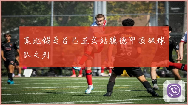 莱比锡是否已正式站稳德甲顶级球队之列