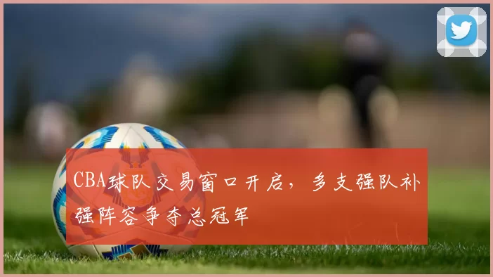CBA球队交易窗口开启,多支强队补强阵容争夺总冠军