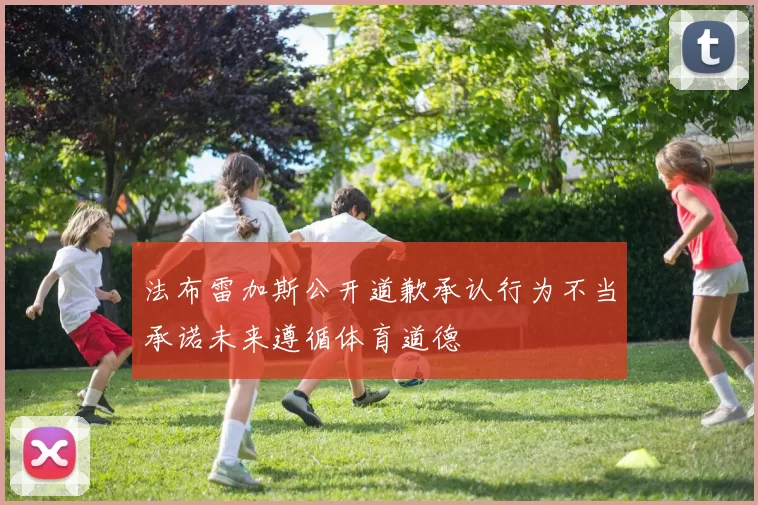 法布雷加斯公开道歉承认行为不当承诺未来遵循体育道德