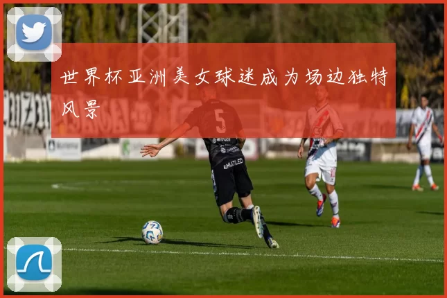 世界杯亚洲美女球迷成为场边独特风景
