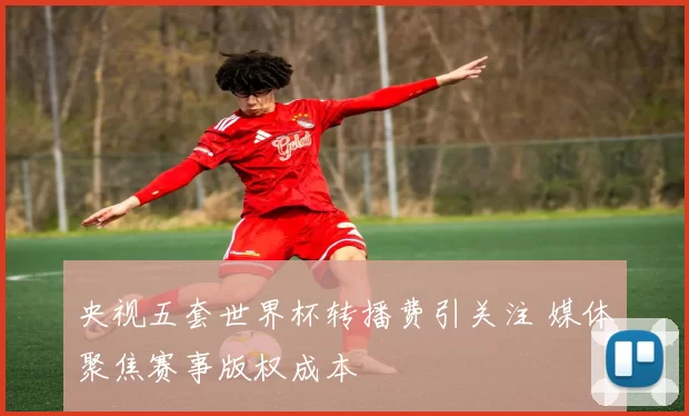 央视五套世界杯转播费引关注 媒体聚焦赛事版权成本