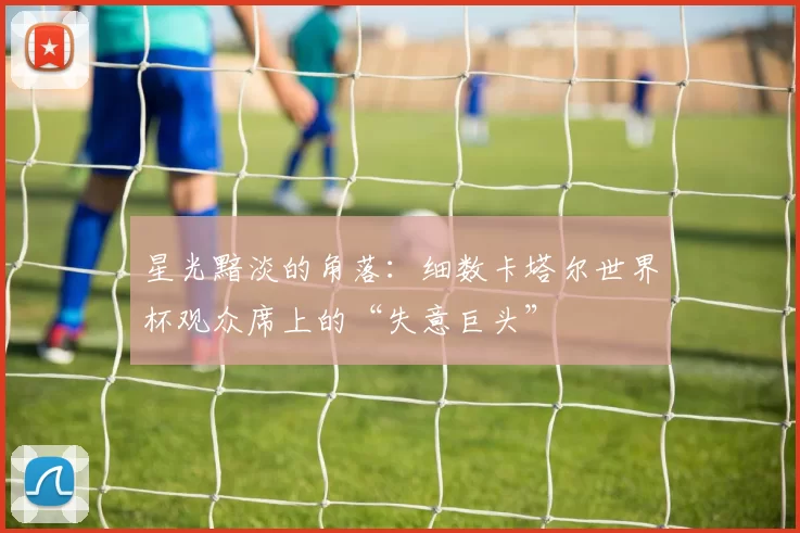 星光黯淡的角落:细数卡塔尔世界杯观众席上的“失意巨头”