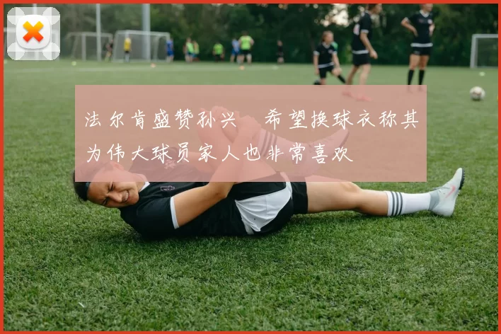 法尔肯盛赞孙兴慜希望换球衣称其为伟大球员家人也非常喜欢