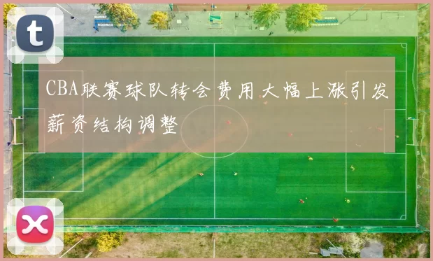 CBA联赛球队转会费用大幅上涨引发薪资结构调整