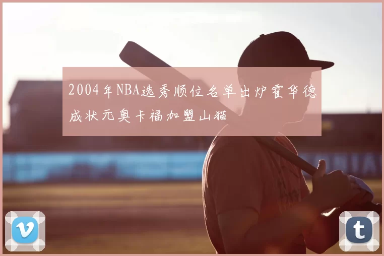 2004年NBA选秀顺位名单出炉霍华德成状元奥卡福加盟山猫