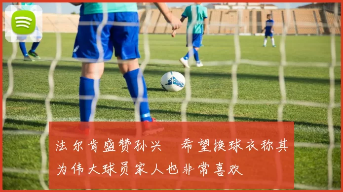 法尔肯盛赞孙兴慜希望换球衣称其为伟大球员家人也非常喜欢