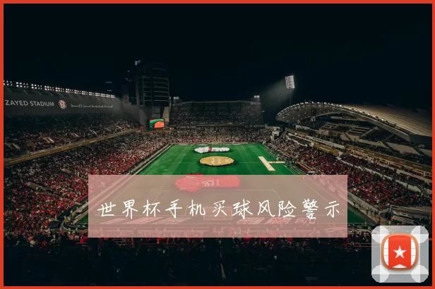 世界杯手机买球风险警示