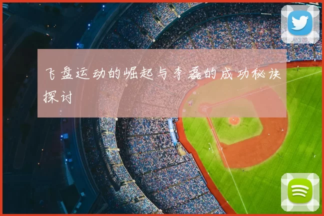 飞盘运动的崛起与李磊的成功秘诀探讨