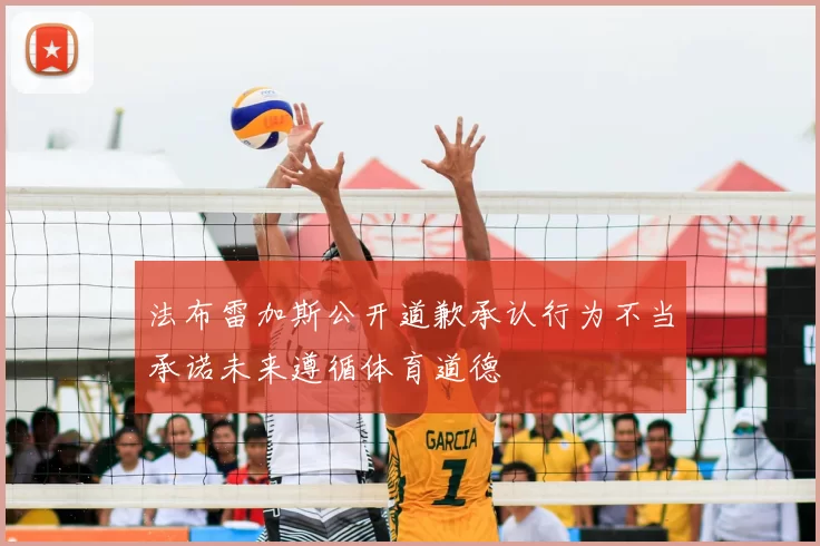 法布雷加斯公开道歉承认行为不当承诺未来遵循体育道德