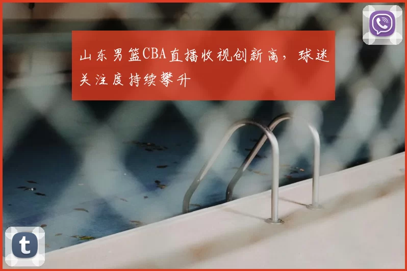 山东男篮CBA直播收视创新高，球迷关注度持续攀升