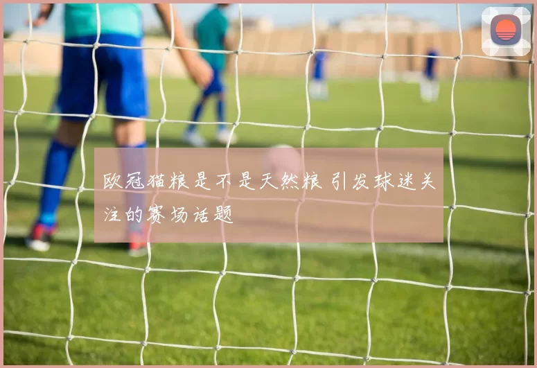 欧冠猫粮是不是天然粮 引发球迷关注的赛场话题